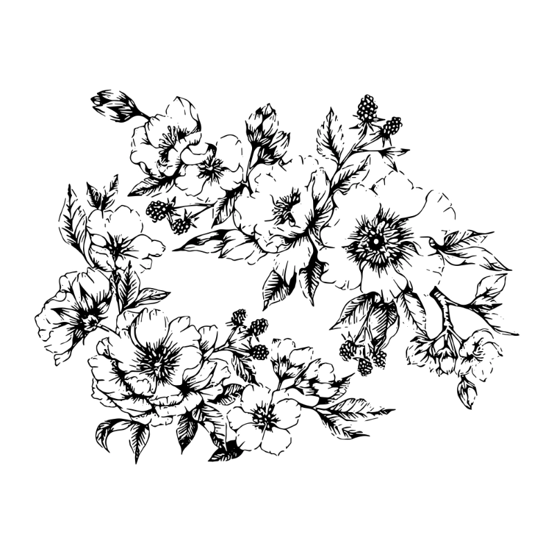 chrysanthemum